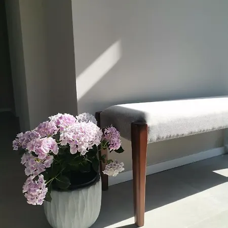 Nyaraló Vadvirag Vendeghaz